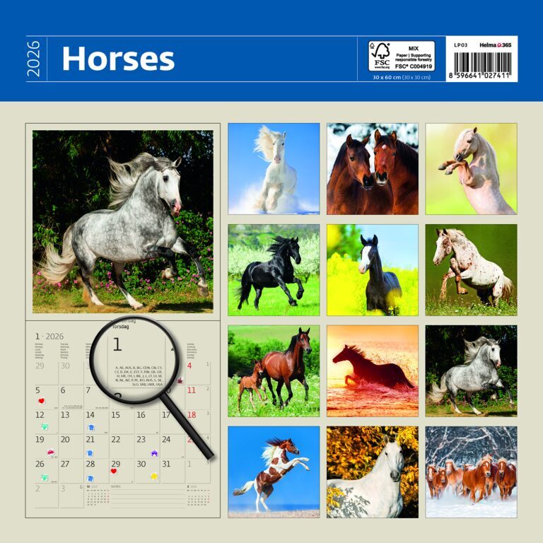 Horses 2026 - nástěnný kalendář