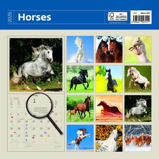 Horses 2026 - nástěnný kalendář