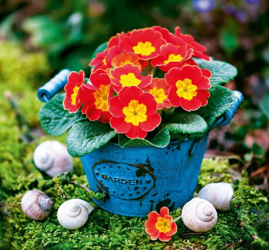 Kouzlo domova 2026 vázanka - nástěnný kalendář