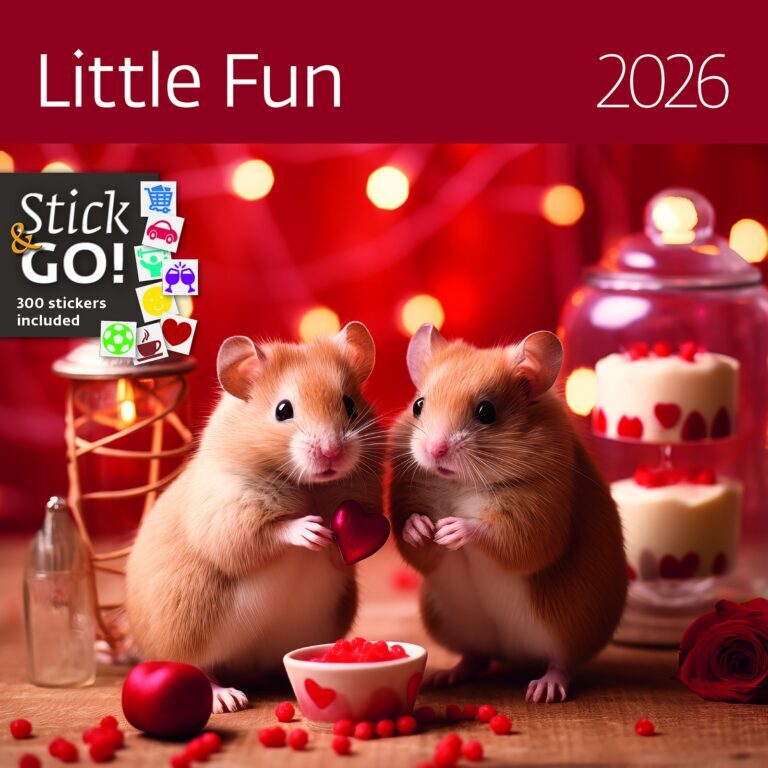 Little Fun 2026 - nástěnný kalendář