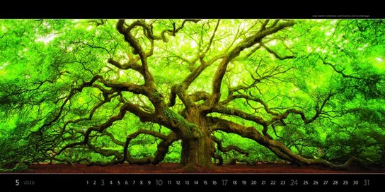Panoramaphoto 2026 - nástěnný kalendář