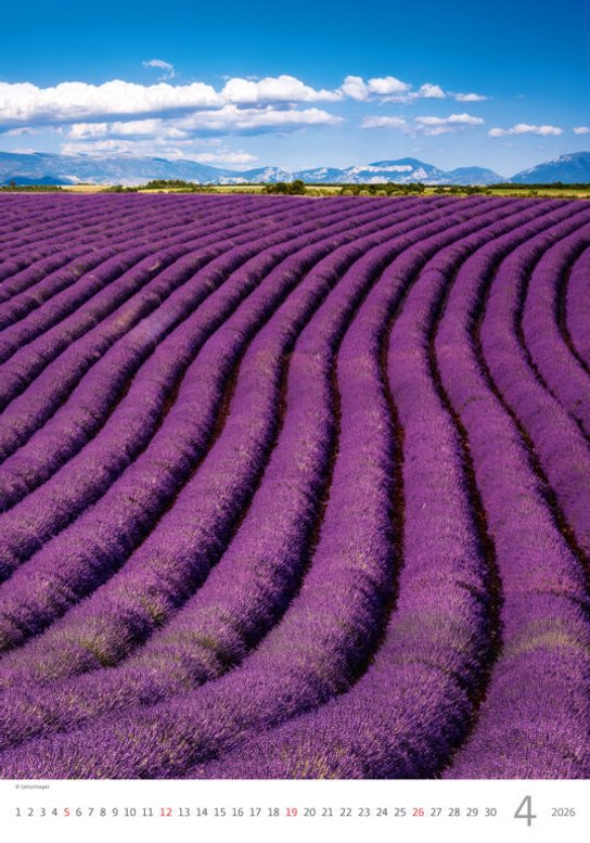 Provence 2026 - nástěnný kalendář