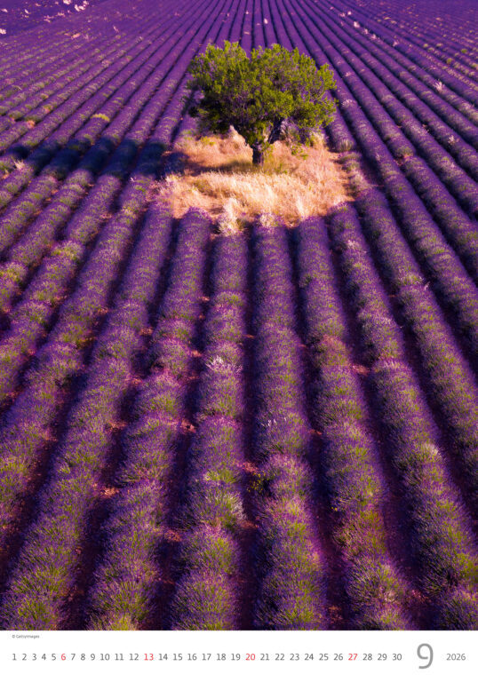 Provence 2026 - nástěnný kalendář