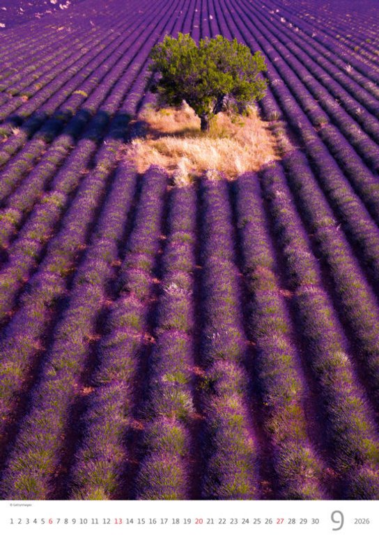 Provence 2026 - nástěnný kalendář