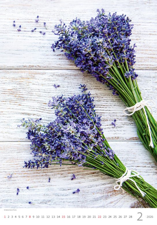 Provence 2026 - nástěnný kalendář