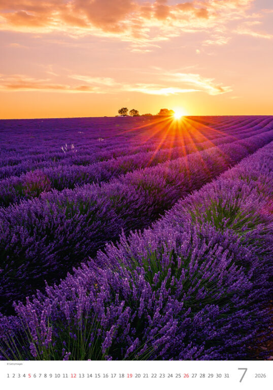 Provence 2026 - nástěnný kalendář