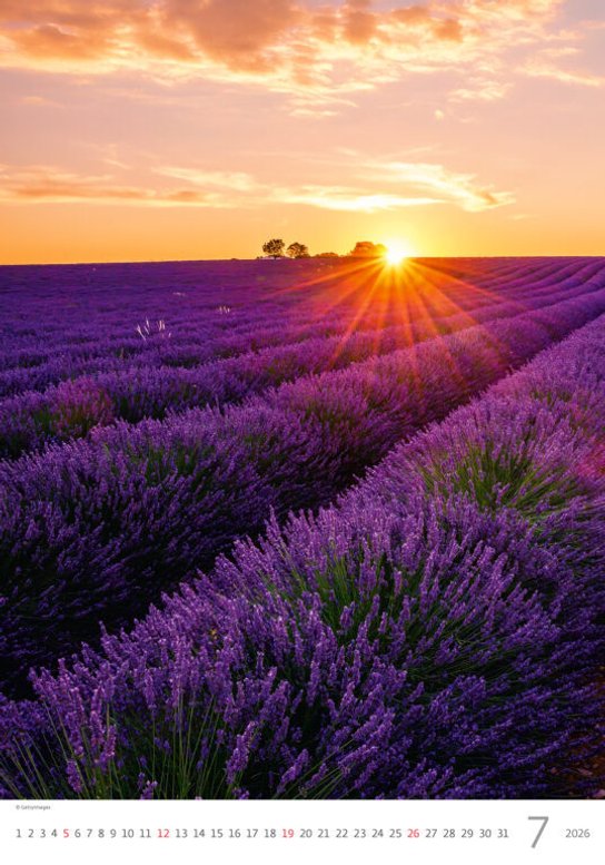 Provence 2026 - nástěnný kalendář