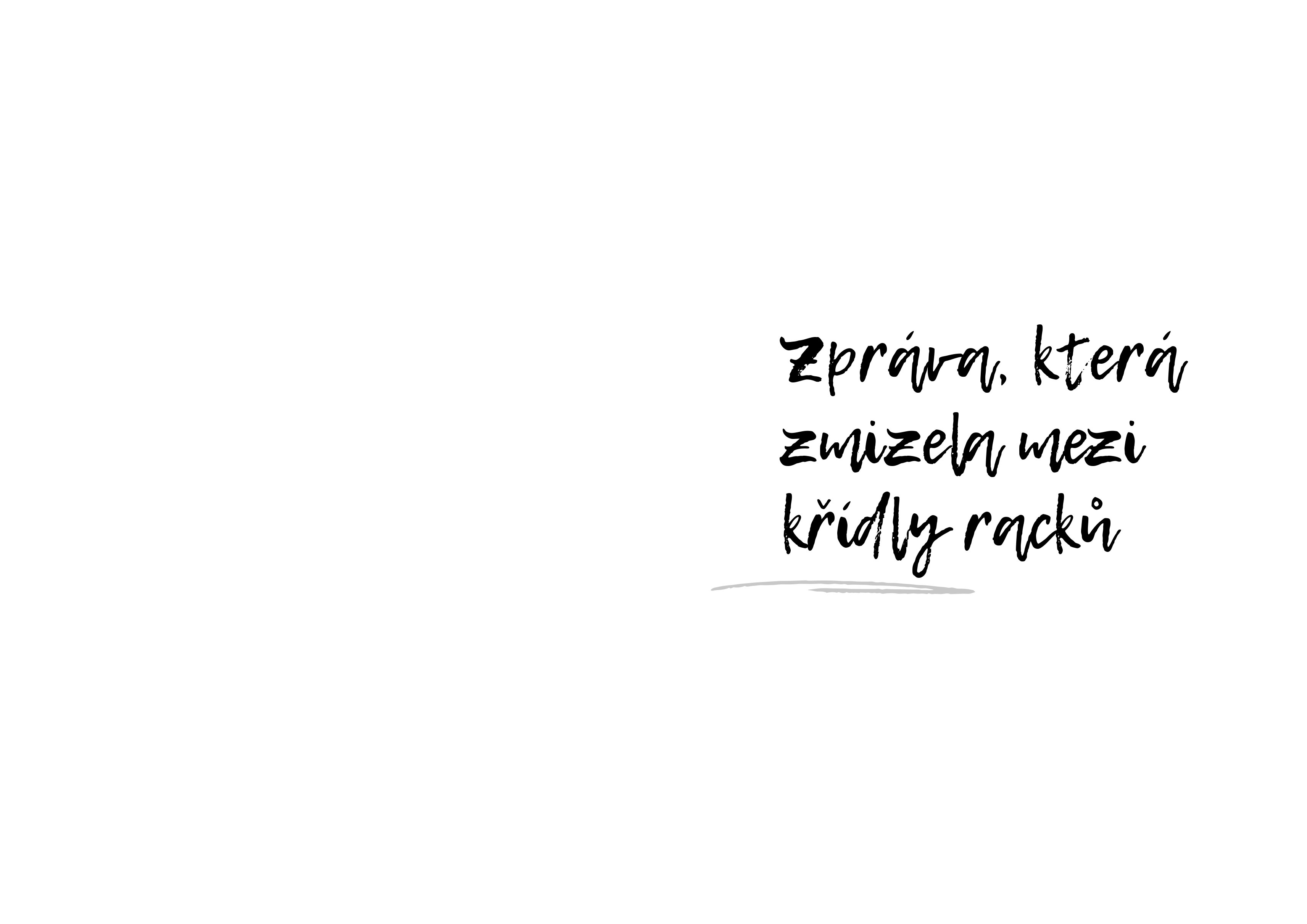 Jak jsem nebyla na Lvech a jiné příhody