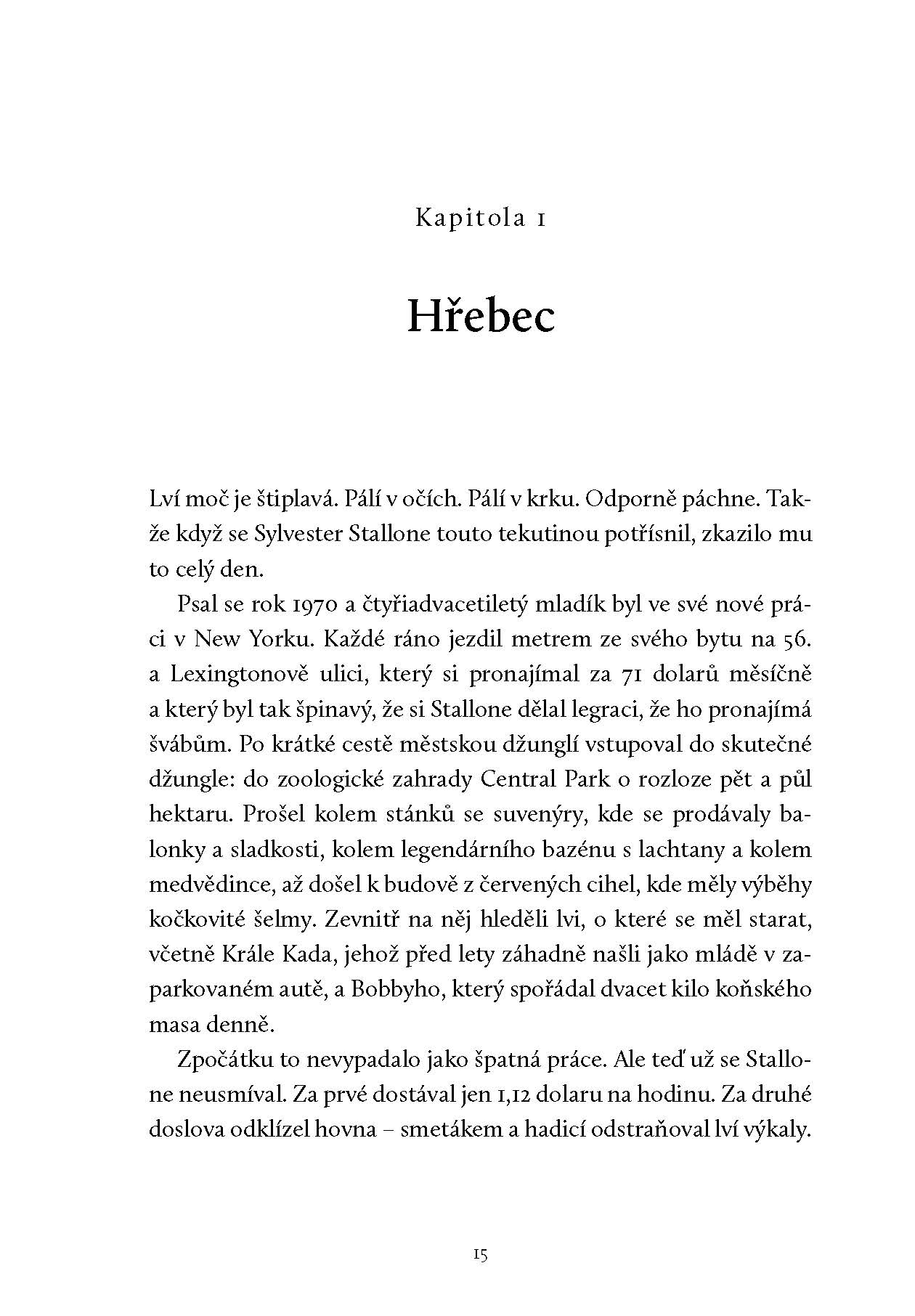 Poslední akční hrdinové