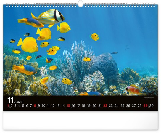 Podmořský svět 2026 - nástěnný kalendář