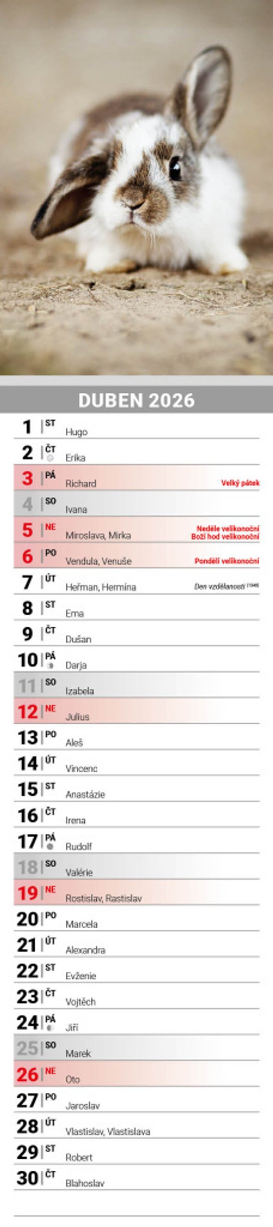 Mazlíčci 2026 - nástěnný kalendář, kravata