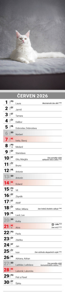 Mazlíčci 2026 - nástěnný kalendář, kravata
