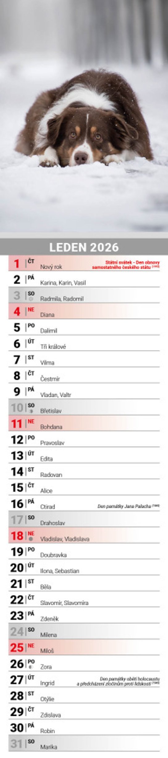Mazlíčci 2026 - nástěnný kalendář, kravata