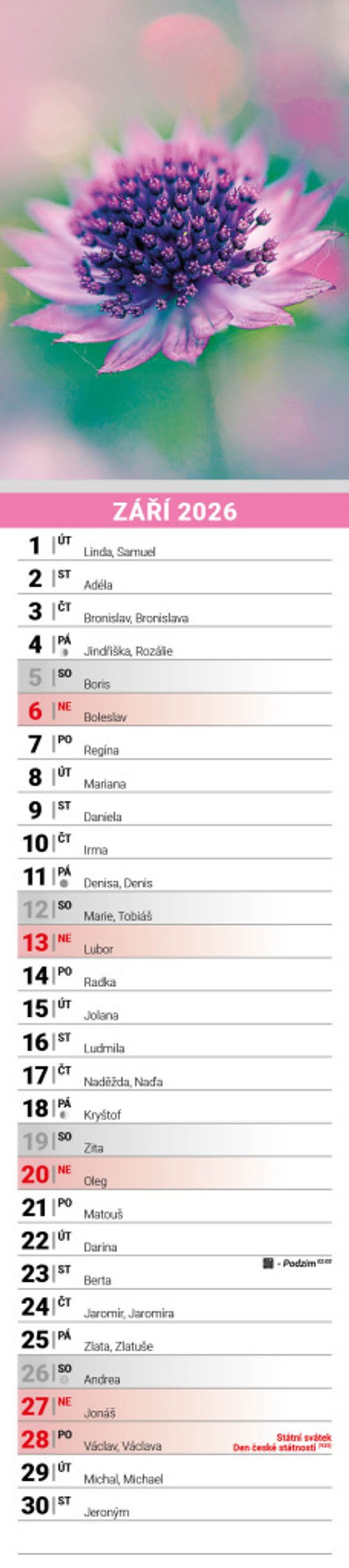 Květiny 2026 - nástěnný kalendář, kravata