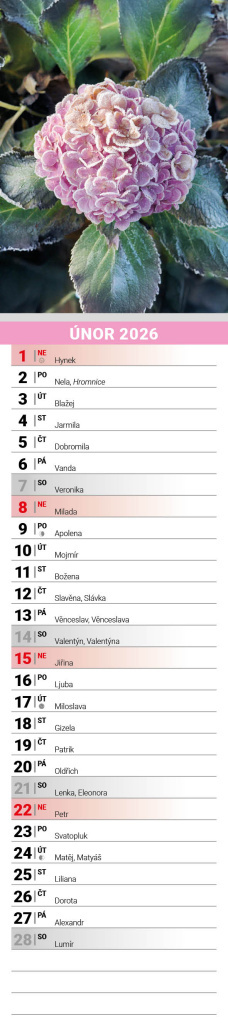 Květiny 2026 - nástěnný kalendář, kravata