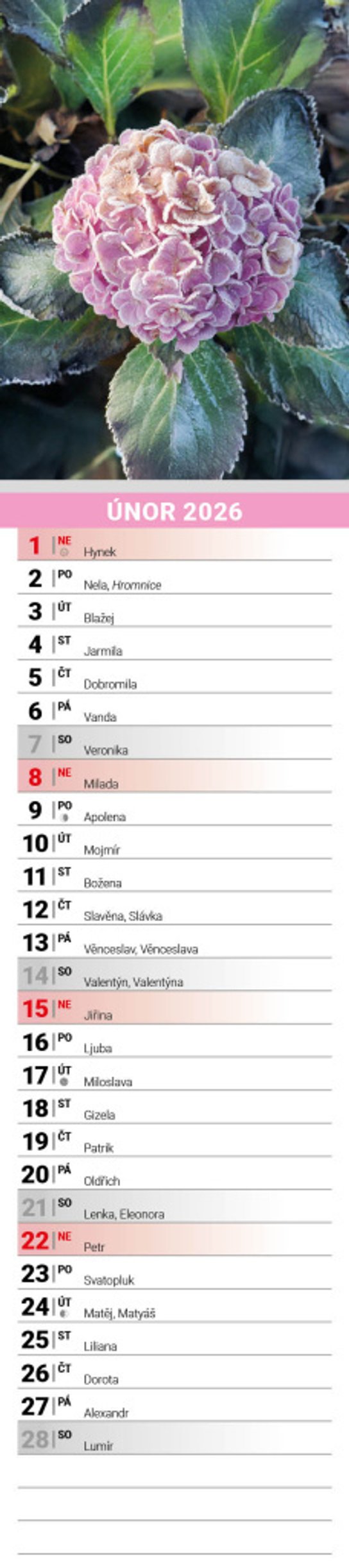Květiny 2026 - nástěnný kalendář, kravata