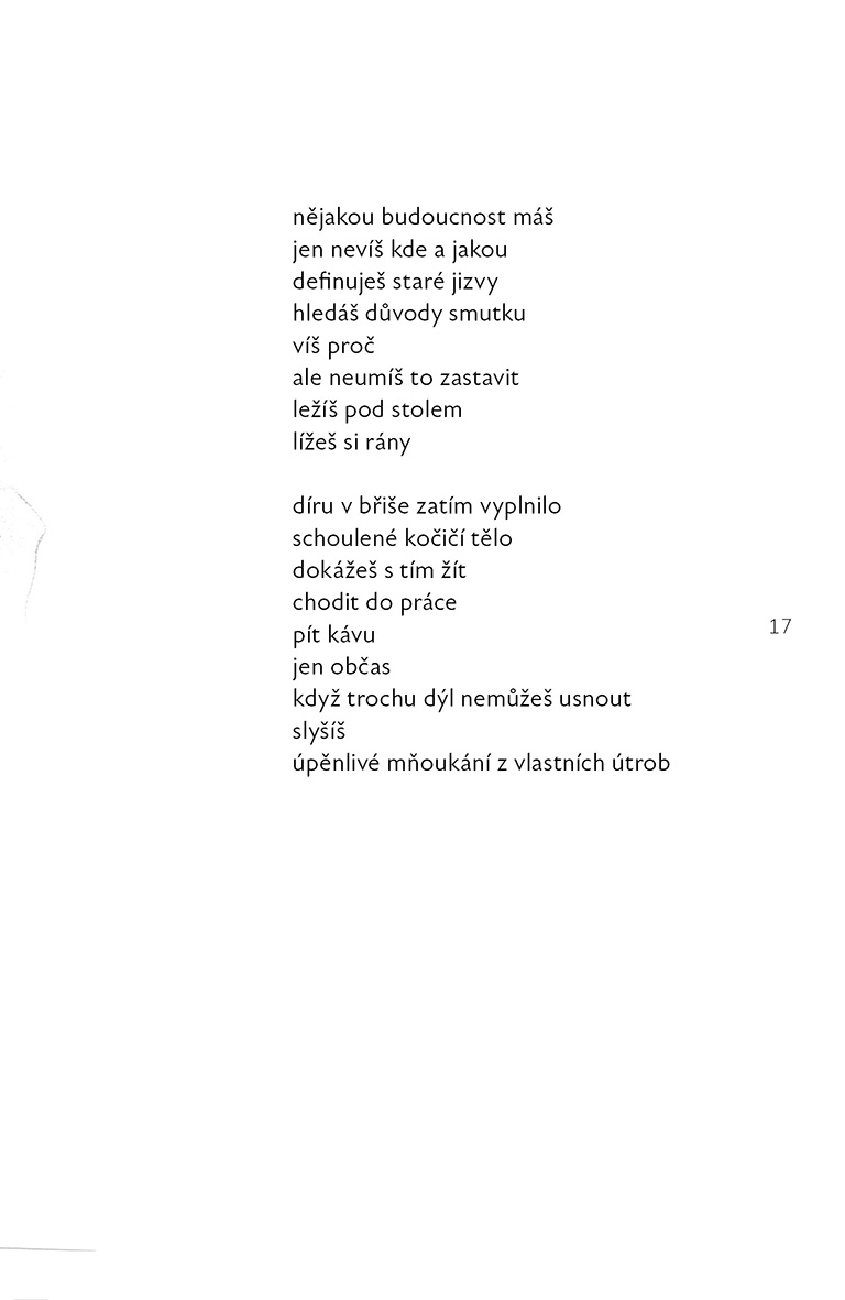 Kdybych si mohla vybrat, chtěla bych bejt černoška