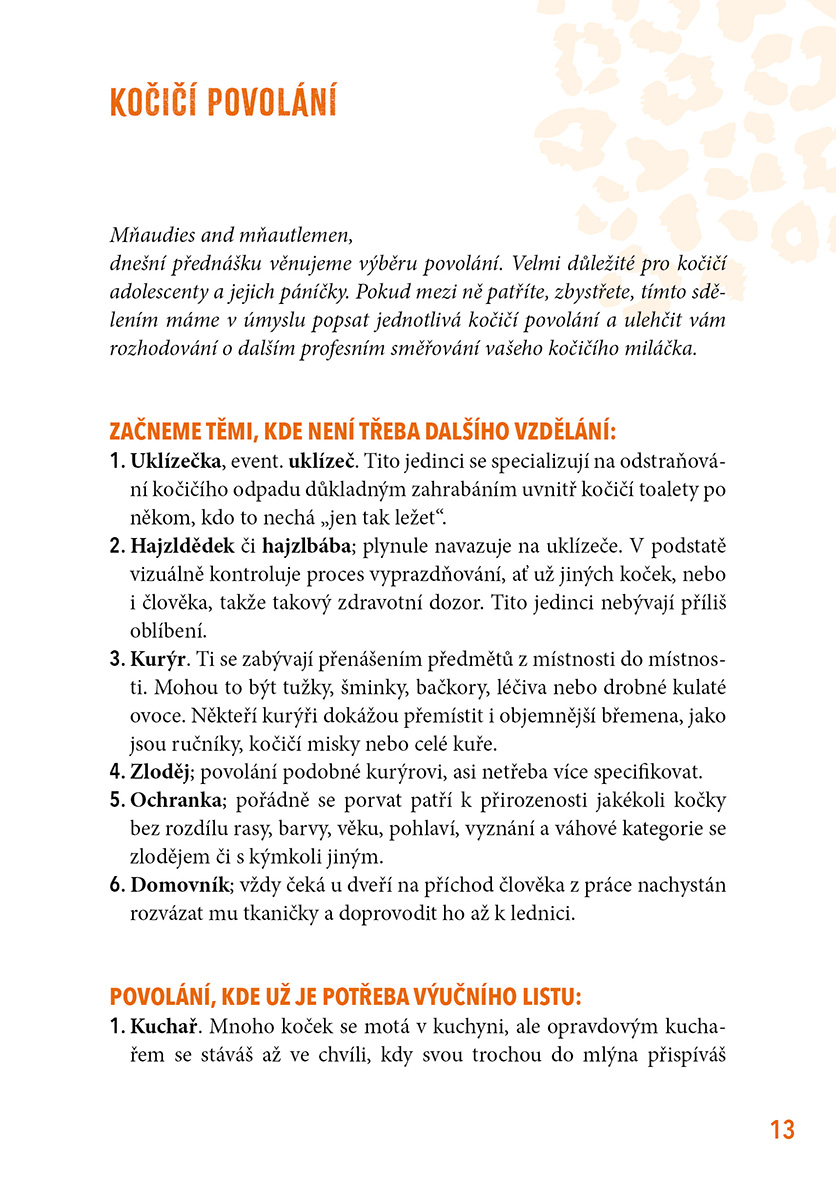 Život by měl mít devět koček