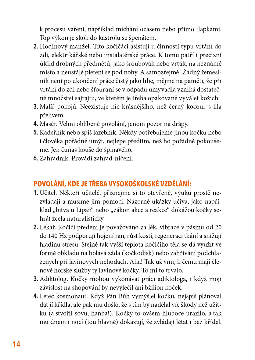 Život by měl mít devět koček