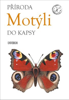 Motýli