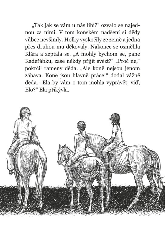 Vánoční hvězdička
