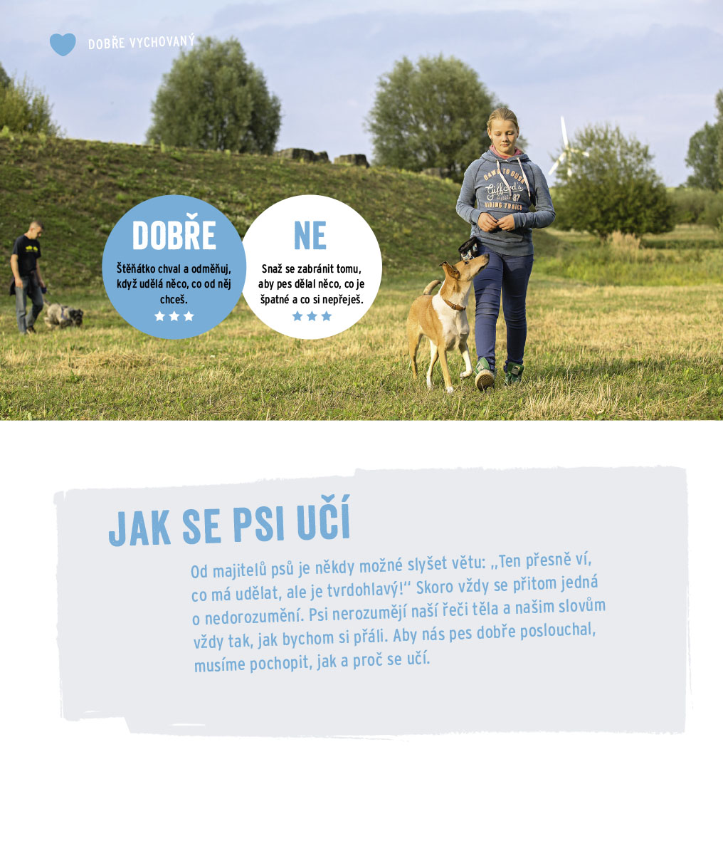 Máme doma štěňátko