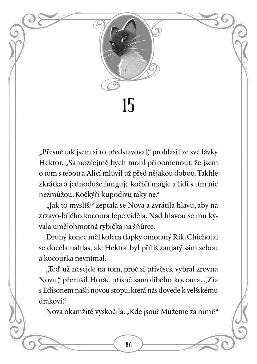 Půlnoční kočky - Útok zákeřného krále