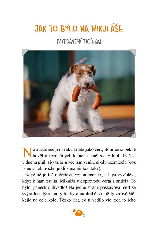 Dášeňka a její nový domov