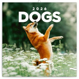 Psi 2026 - nástěnný kalendář