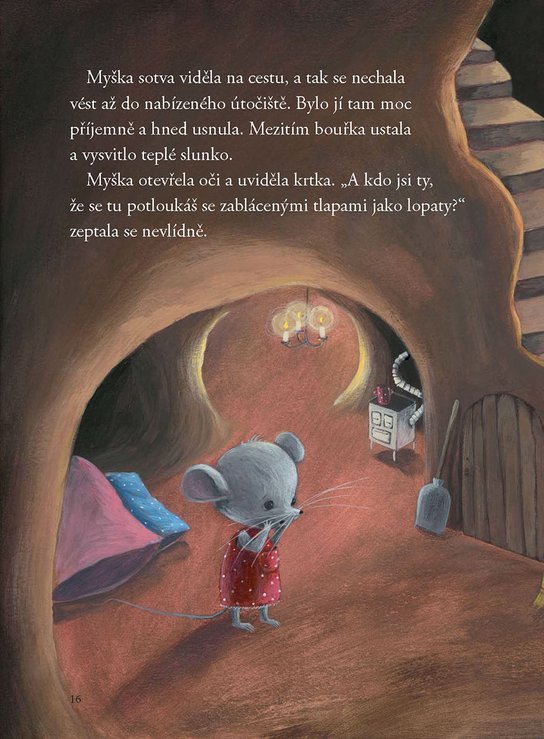 Jak myška hledala kamarády
