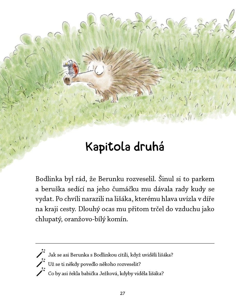 Ježek Bodlinka 