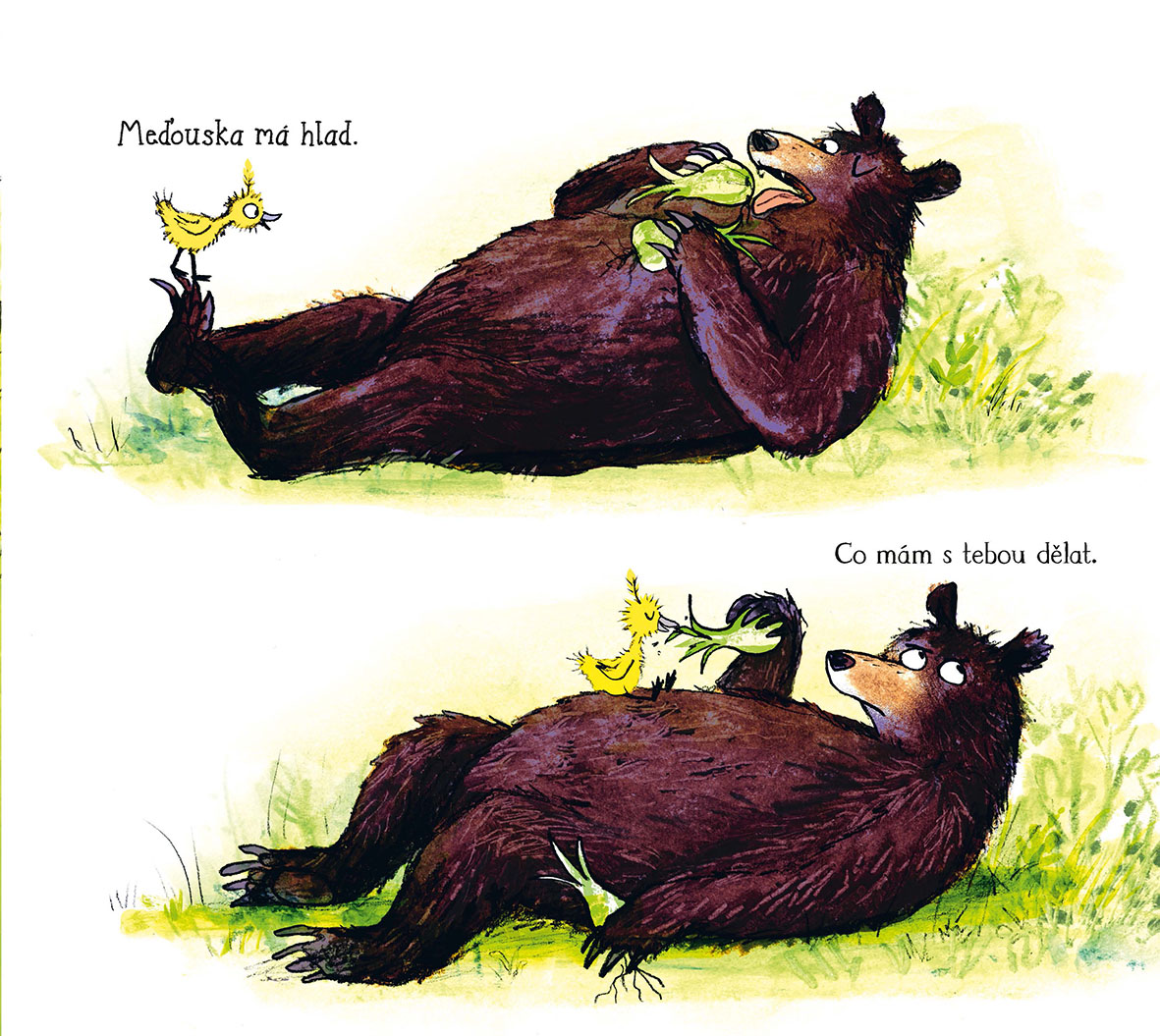 Meďouska