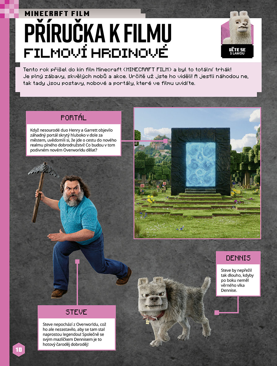 Minecraft - Knížka zábavy na celý rok 