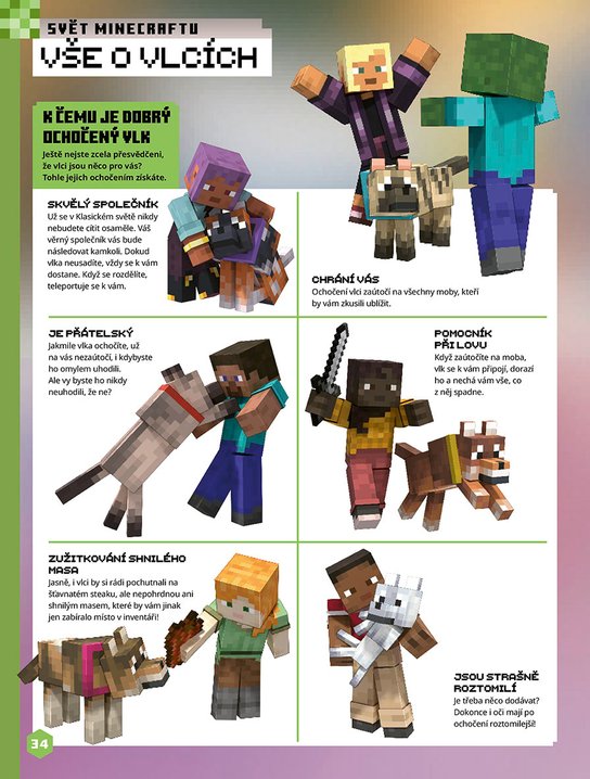 Minecraft - Knížka zábavy na celý rok 