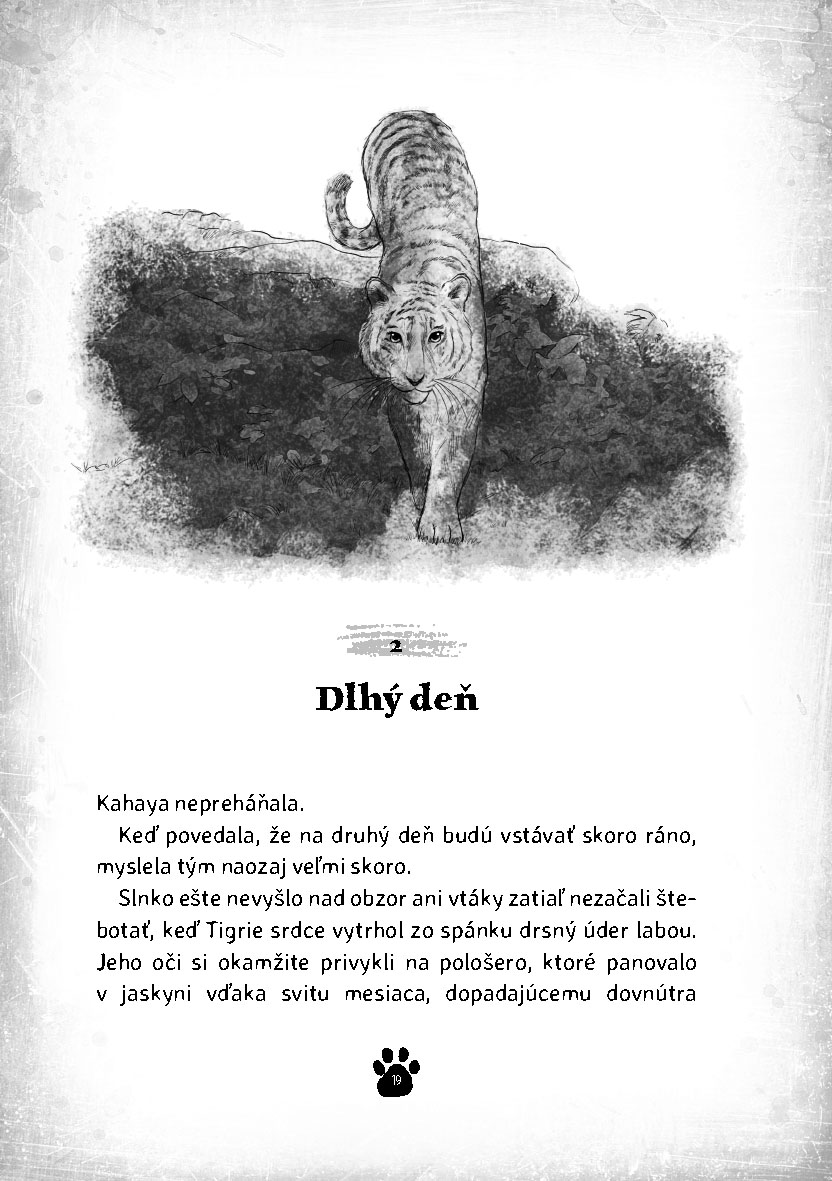 Tigrie srdce 2 - Ostrov Tieňových bojovníkov