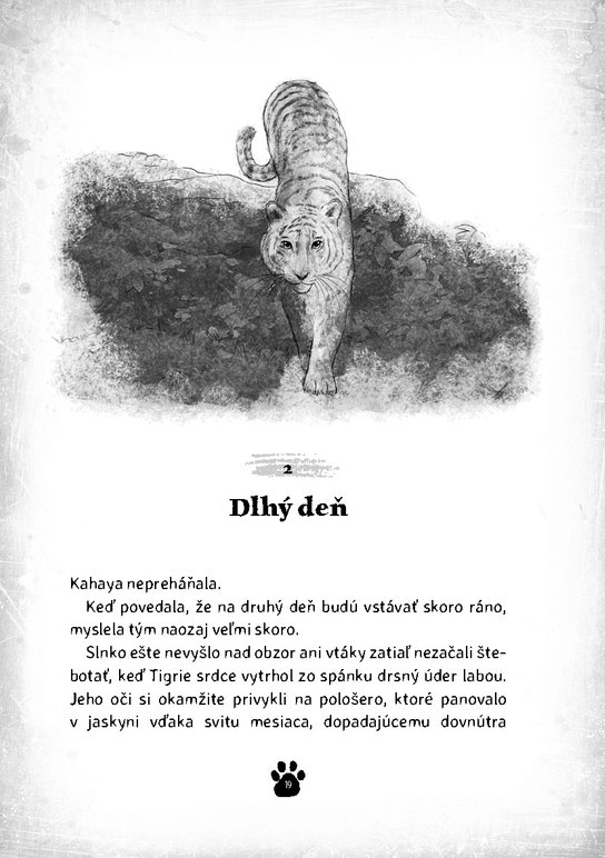 Tigrie srdce 2 - Ostrov Tieňových bojovníkov