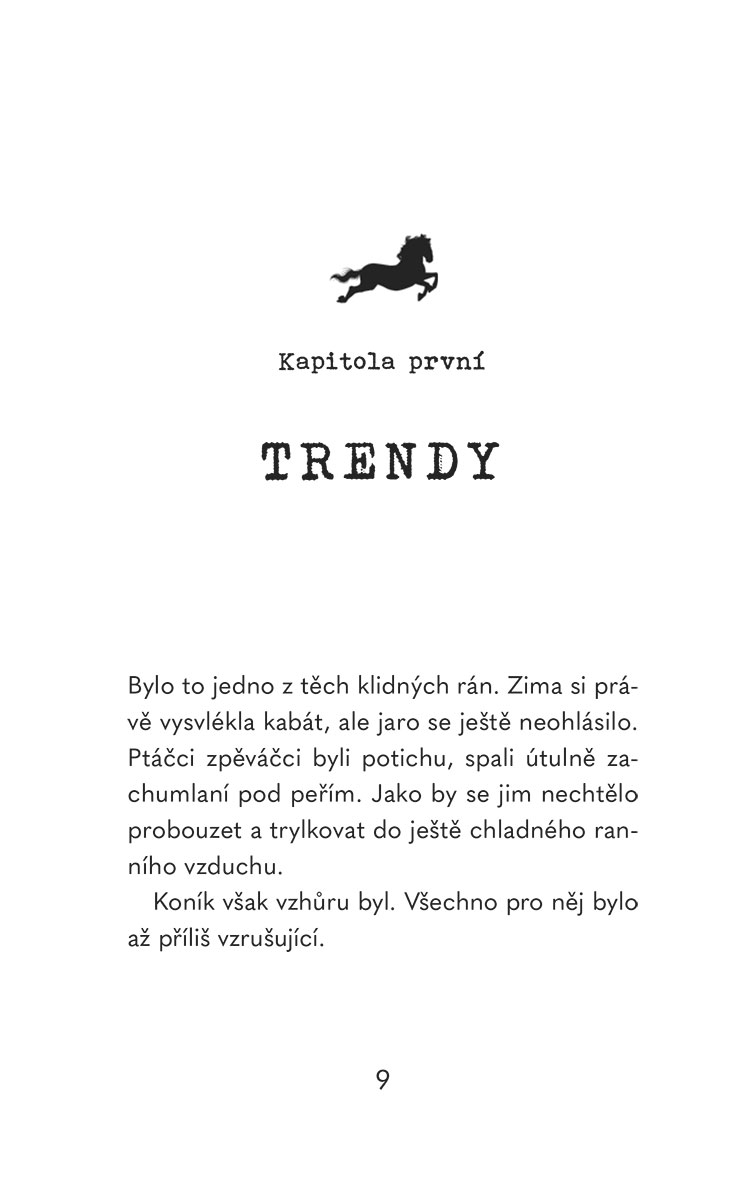 V koňském sedle: Létající kůň