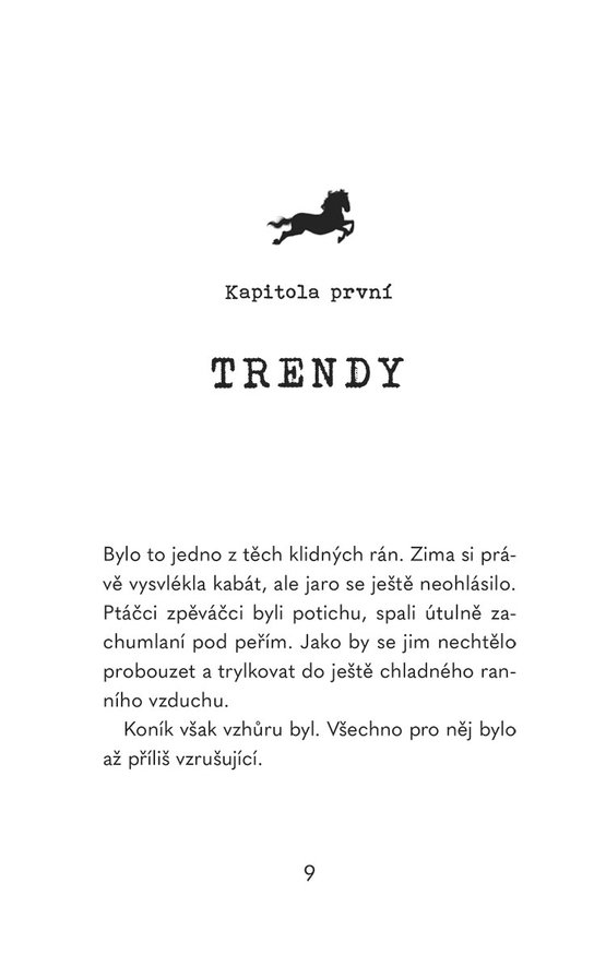 V koňském sedle: Létající kůň