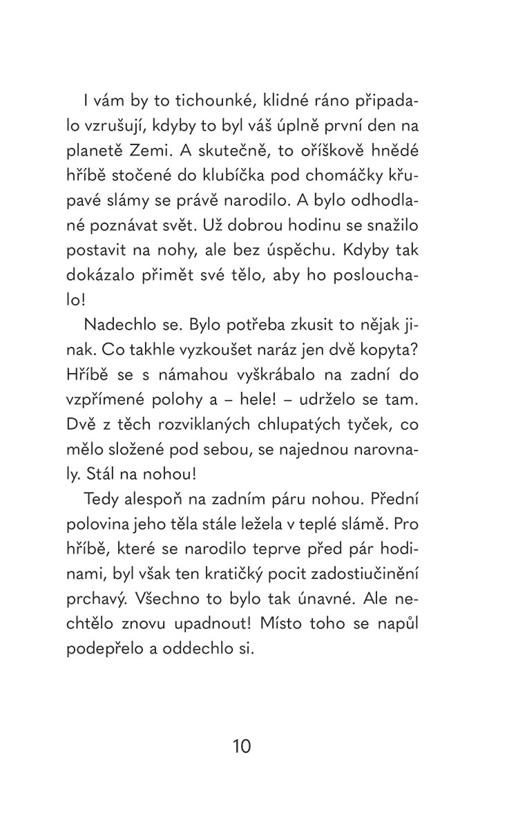 V koňském sedle: Létající kůň