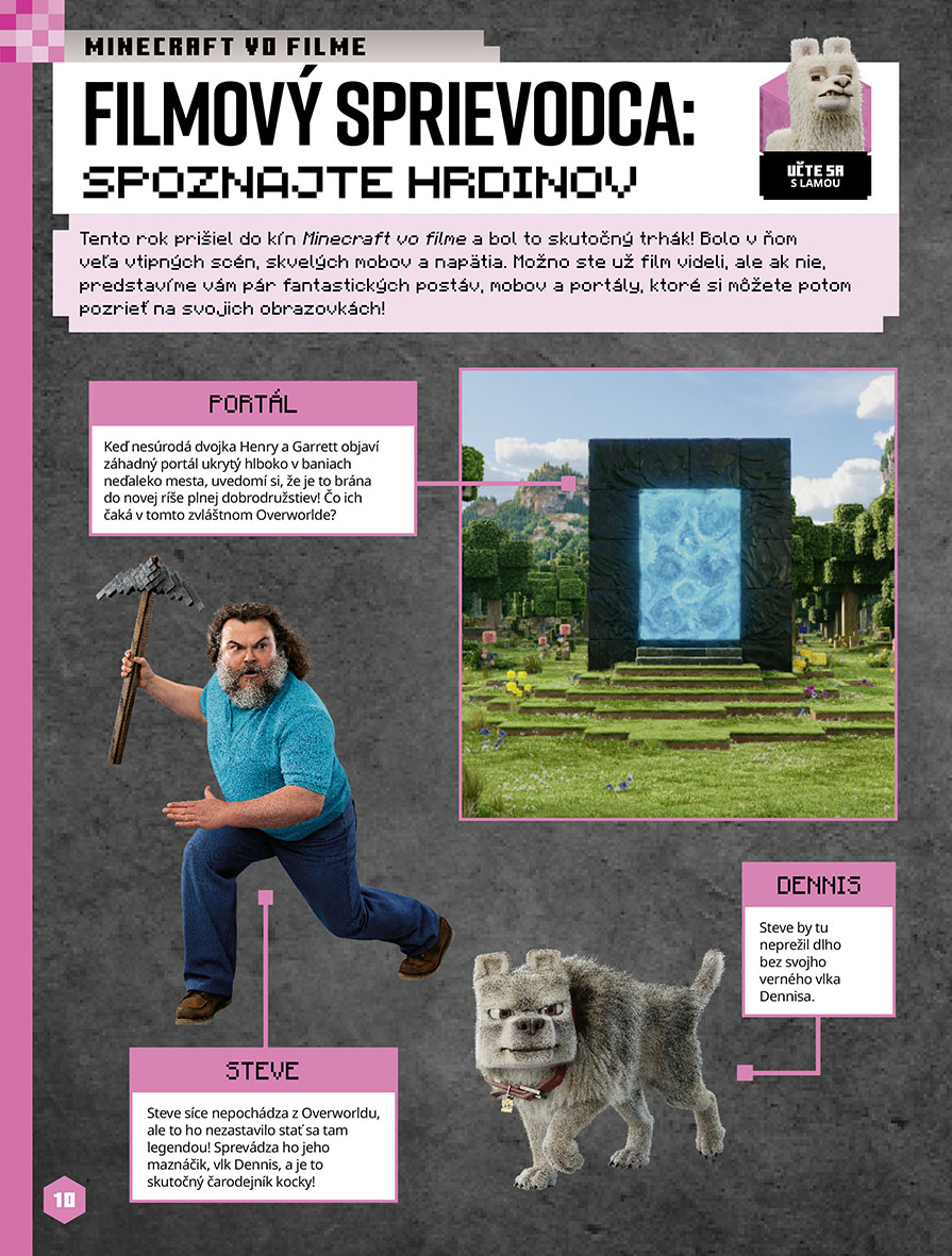 Minecraft - Kniha zábavy na celý rok 