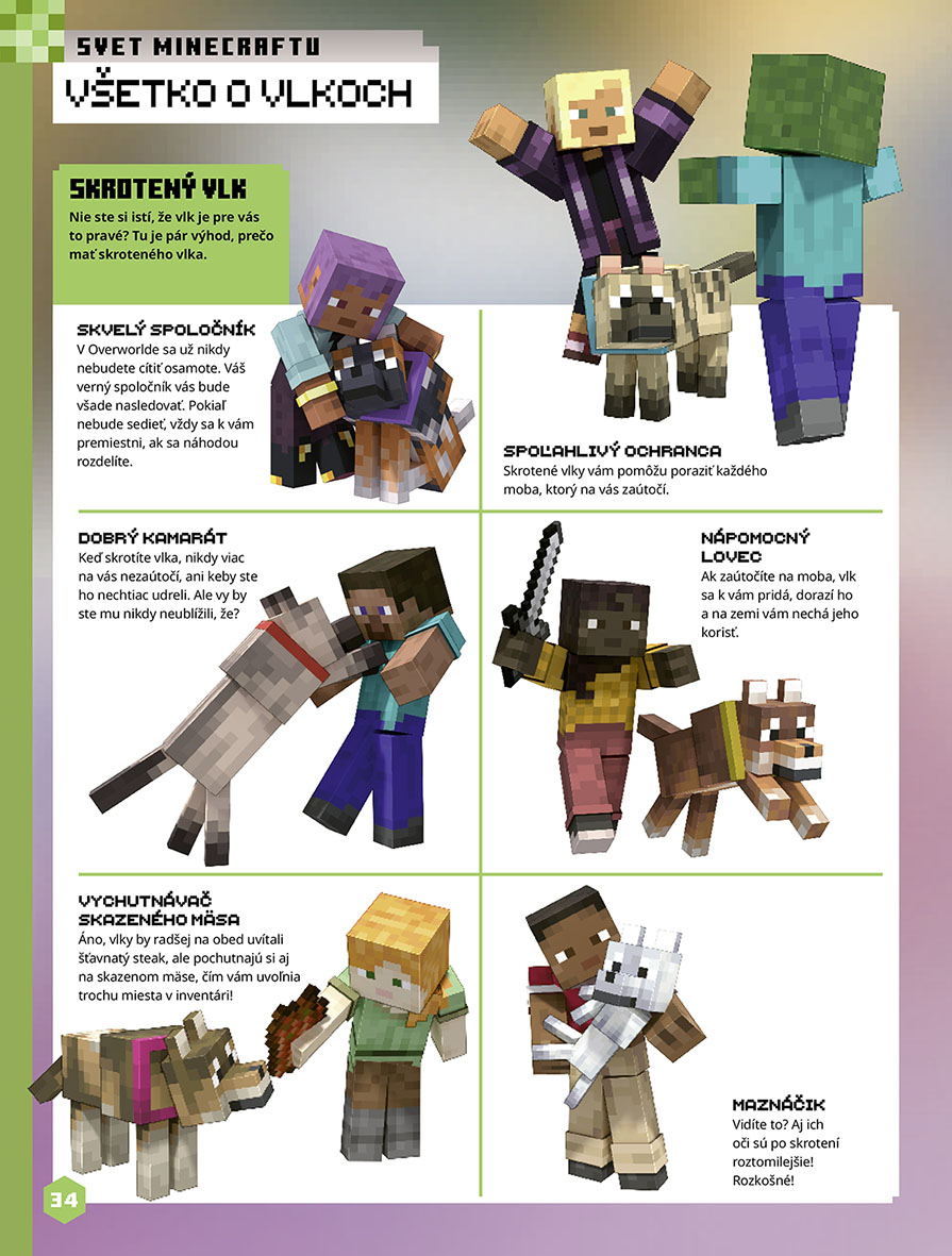 Minecraft - Kniha zábavy na celý rok 