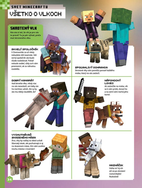 Minecraft - Kniha zábavy na celý rok 