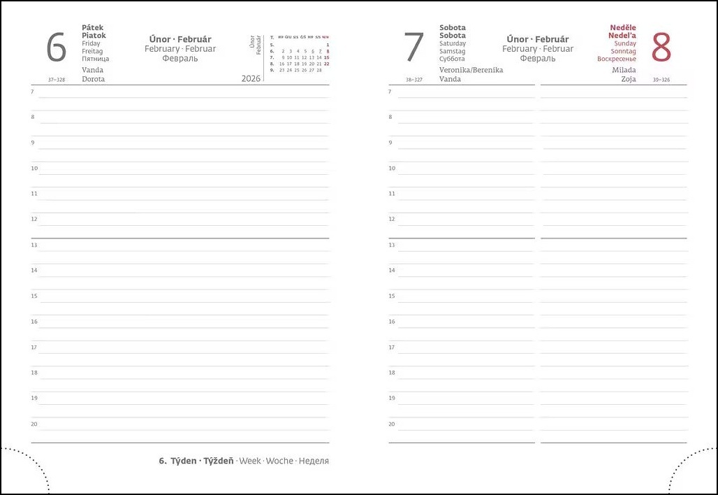 Náhradní náplň pro koženkové desky Flip 2026 B6/M denní