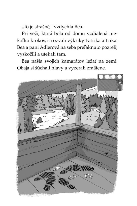 Tigrí tím – Poklad na Bobrej rieke