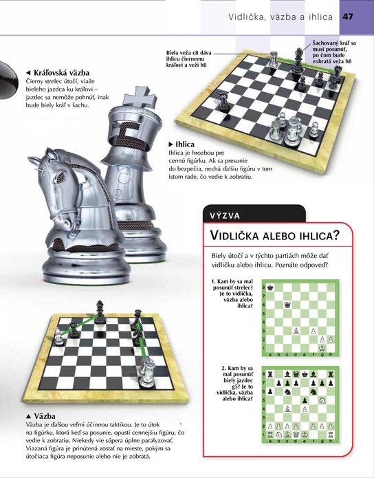 Ako hrať šach