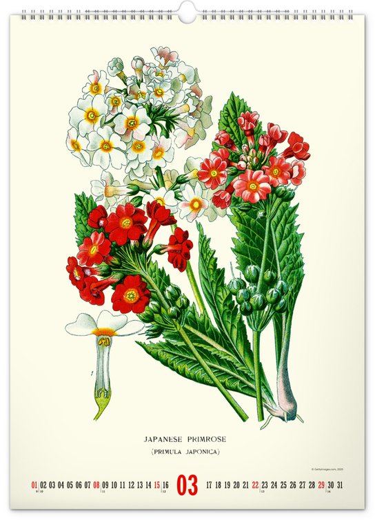Vintage plakáty Herbář 2026 - nástěnný kalendář