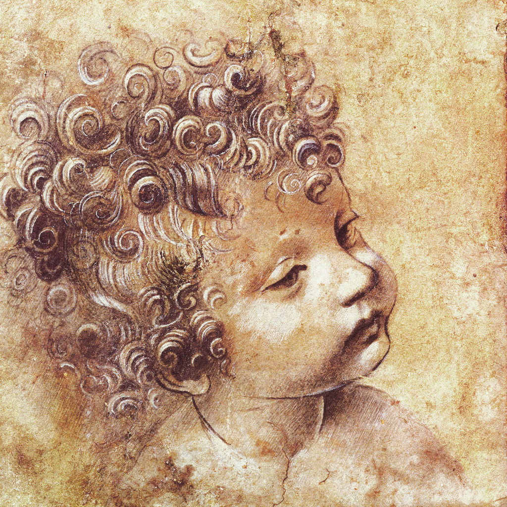Poznámkový kalendář Leonardo da Vinci 2026 - nástěnný kalendář