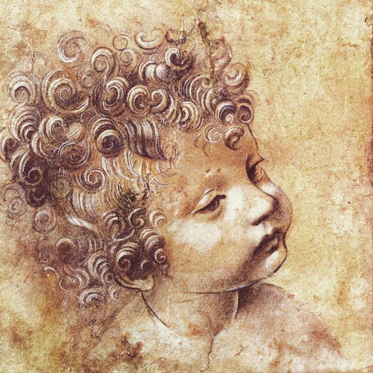 Poznámkový kalendář Leonardo da Vinci 2026 - nástěnný kalendář