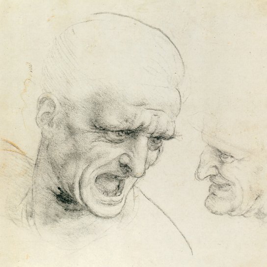 Poznámkový kalendář Leonardo da Vinci 2026 - nástěnný kalendář