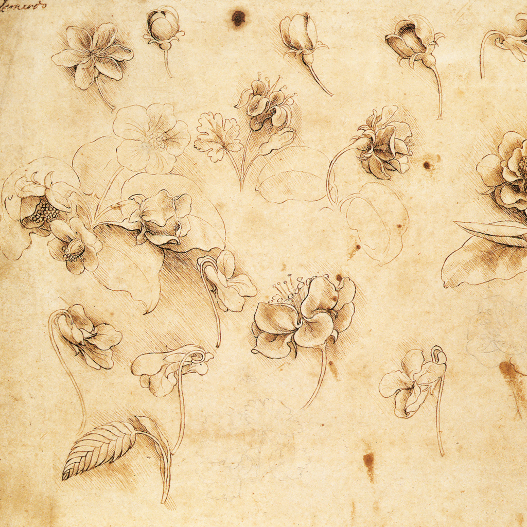 Poznámkový kalendář Leonardo da Vinci 2026 - nástěnný kalendář